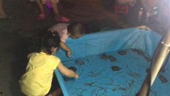 抓泥鳅成人搞笑视频,欢乐搞笑视频集锦