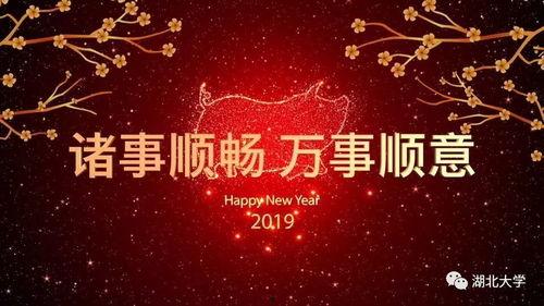 成人元旦快乐视频大全,共赏精彩视频盛宴