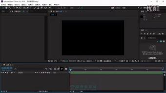 成人迅雷视频,成人内容的热门聚集地