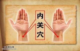 成人脏腑针灸视频讲解,揭秘传统中医养生之道
