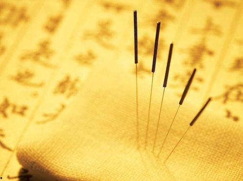 成人脏腑针灸视频讲解,揭秘传统中医养生之道