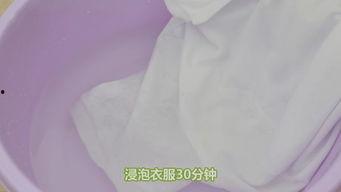 怎么垫成人汗巾纸视频,如何制作实用成人汗巾纸