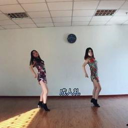 宋岛成人舞蹈教学视频,轻松入门，舞动人生新篇章