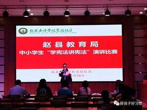 宪法朗诵比赛视频成人,青春誓言——宪法朗诵比赛视频中的青春风采