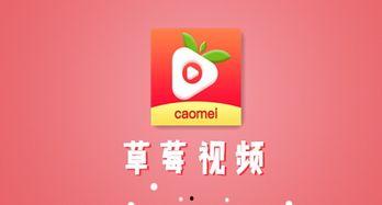 草莓视频.App成人版,揭秘私密内容与用户隐私保护