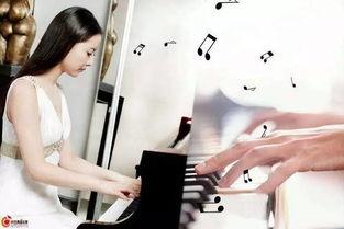 成人入门钢琴课视频大全,入门课程视频大全解析