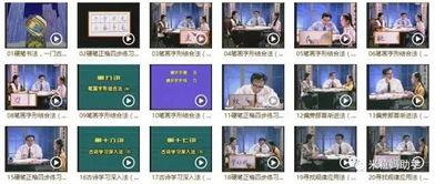 成人练字教学课程视频大全,从零基础到书法大师的蜕变之旅