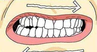 成人磨牙解压方法图片视频,探索成人磨牙的趣味减压图片与视频集锦