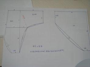 成人大裤衩裁剪步骤视频,成人大裤衩裁剪步骤详解
