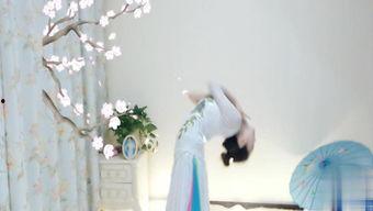 舞蹈成人古装视频,成人古装舞蹈视频赏析