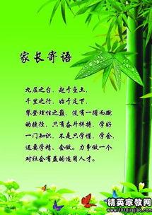 成人礼家长的寄语视频,成人礼家长深情寄语视频集锦