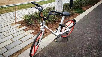 爱动成人脚踏车安装视频