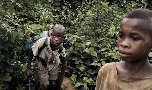 非洲地区成人无码视频