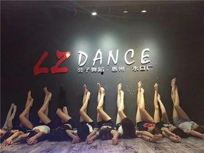 海亮成人舞蹈视频大全集,舞动人生，尽享舞蹈魅力