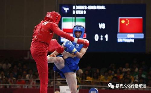 武威成人散打比赛视频,激情碰撞，力与勇的巅峰对决