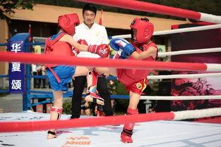 武威成人散打比赛视频,激情碰撞,力与勇的巅峰对决 第2张 武威成人散打比赛视频,激情碰撞,力与勇的巅峰对决 第2张