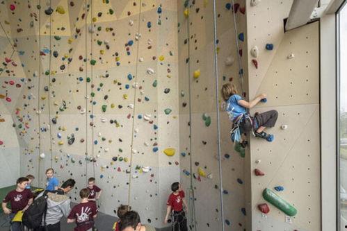 成人室内攀岩组合视频讲解,视频教学带你轻松上手