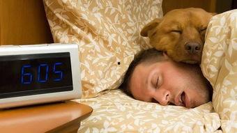 成人睡觉拉床好吗视频,原因及改善方法  第3张