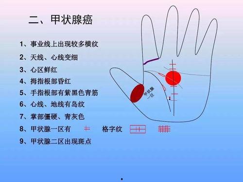 成人经脉推拿视频讲解大全,全面掌握养生保健秘籍 第3张 成人经脉推拿视频讲解大全,全面掌握养生保健秘籍 第3张