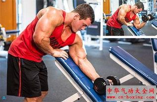 成人锻炼胳膊的动作视频,跟随动作视频，打造健美双臂  第1张