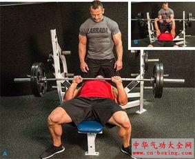 成人锻炼胳膊的动作视频,跟随动作视频，打造健美双臂  第2张