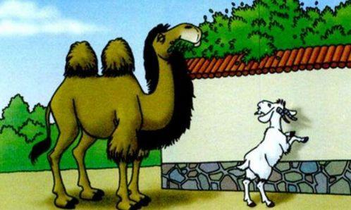 羊扮成人的故事视频,羊变身人间的奇幻冒险