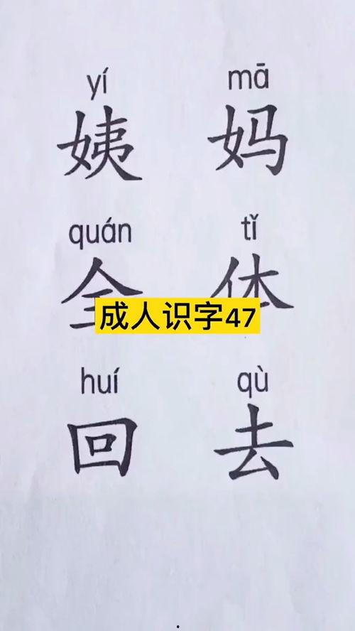 成人认字写字大全视频,成人认字写字大全视频精华概述