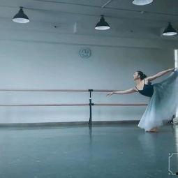 成人剧目双人舞蹈视频,成人剧目双人舞蹈魅力瞬间  第2张