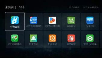 成人看片视频APP下载,下载指南与安全提示
