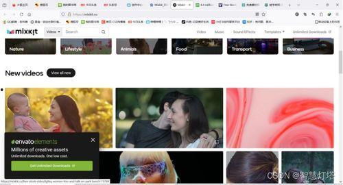 成人短视频app有那些,热门平台与内容解析  第2张