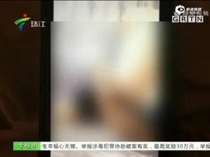 成人免费视频被观看  第2张