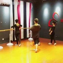 成人藏族零基础舞蹈视频,藏族舞蹈魅力之旅