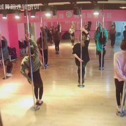 成人藏族零基础舞蹈视频,藏族舞蹈魅力之旅  第2张