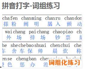 成人拼音打字示范视频,轻松掌握打字技巧  第2张
